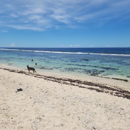 Green Villa Moorea Temae Eksteriør bilde